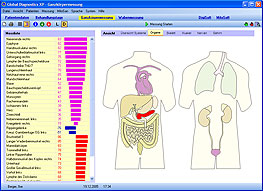 Der Global Diagnostics