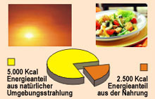 Energieanteile naus natürlicher Umgebungsstrahlung und aus der Nahrung